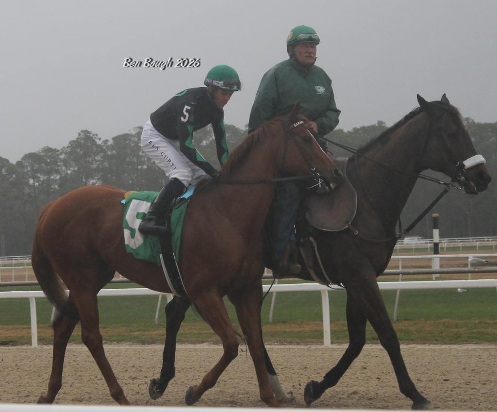 Aussie Girl in the Endeavour Stakes, Ben Baugh Photo