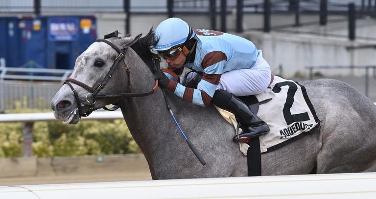 Schoolyardsuperman, NYRA Photo