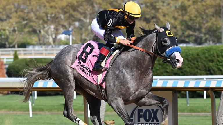 Napoleon Solo, NYRA Photo