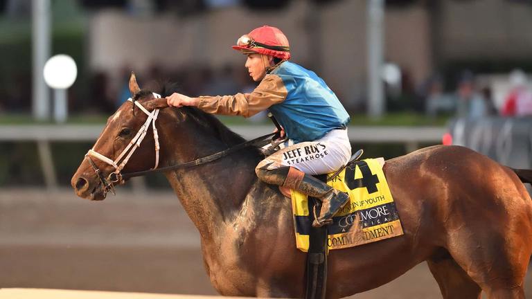 Commandment in the FOY, Coglianese Photo