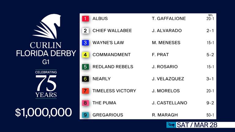 Chief Wallabee given mild favoritism for Saturday’s Florida Derby