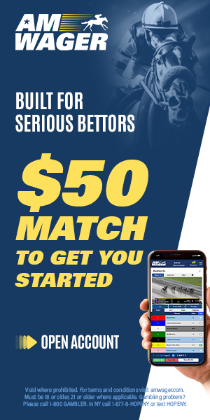 AW: AmWager Vertical Promo AD (ad)