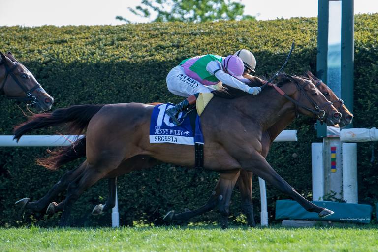 Expensive Queen and Segesta noses apart in the Jenny Wiley, Jenny Doyle/Past The Wire Photo