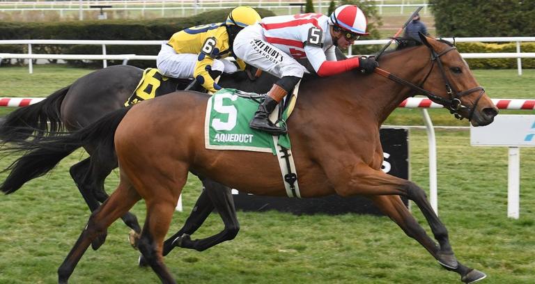 Oversubscribed, NYRA PHoto