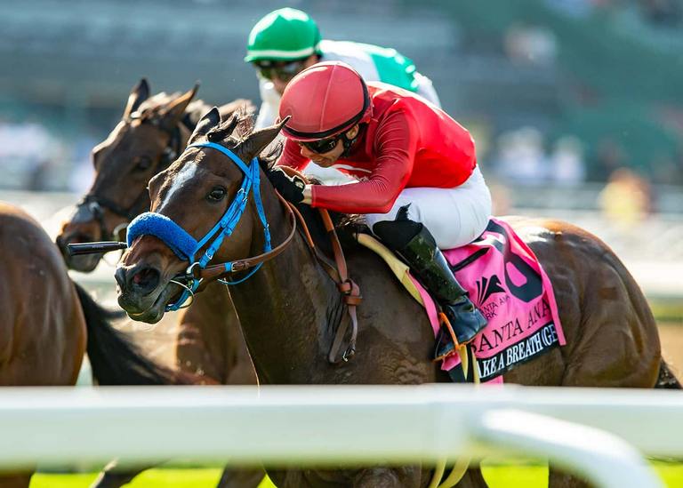 Take a Breath tops deep graded stakes field, Benoit Photo