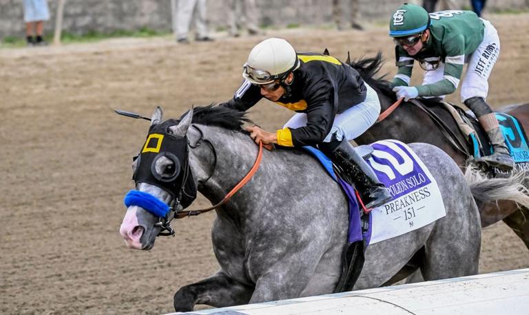 Napoleon solo rides the rail to win the Preakness