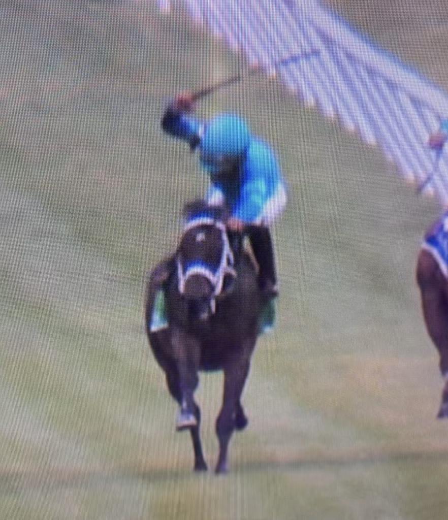 "Stewards view of Paco Lopez at Saratoga, whip above his head"