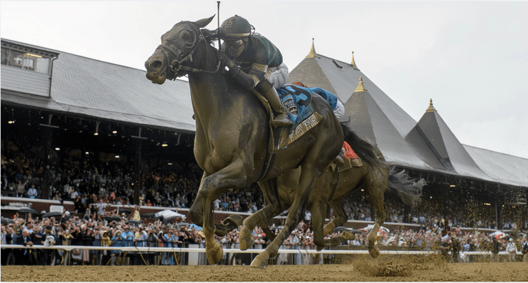 Golden Tempo in the Belmont Stakes, NYRA Photo
