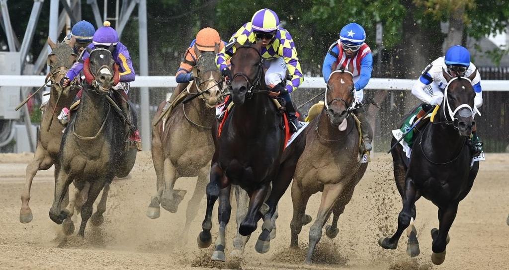 Englishman sublime in G1 Woody Stephens - Past The Wire