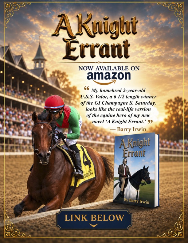 "A Knight Errant by Barry Irwin"